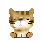 d0124952_1551988.gif