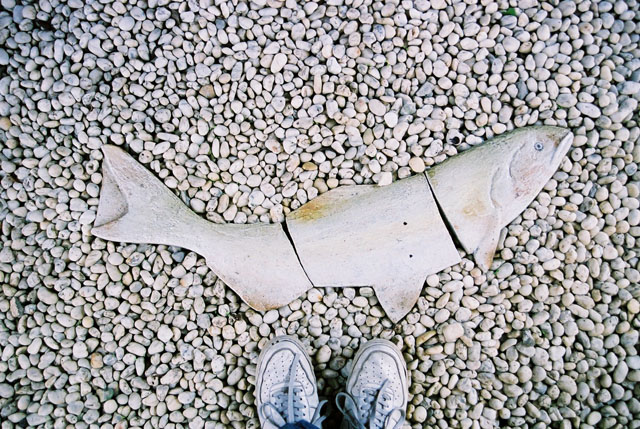 e0125059_21475460.jpg