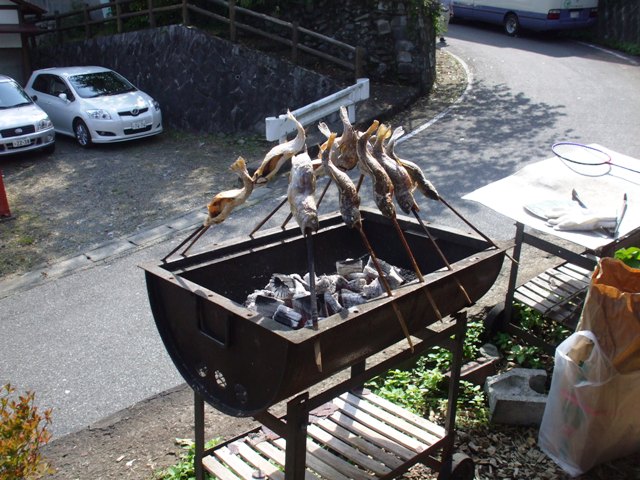 f0131165_23173813.jpg