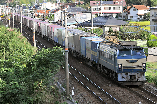 c0139966_942749.jpg