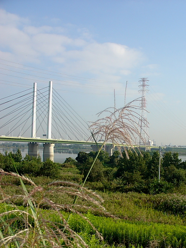 f0166066_1027842.jpg