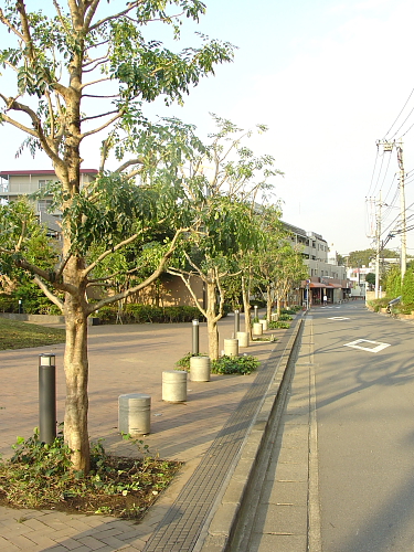 f0166066_10282135.jpg