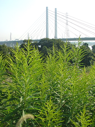 f0166066_10331418.jpg