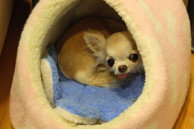 a0016775_22473841.jpg