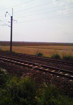b0101181_1852547.jpg