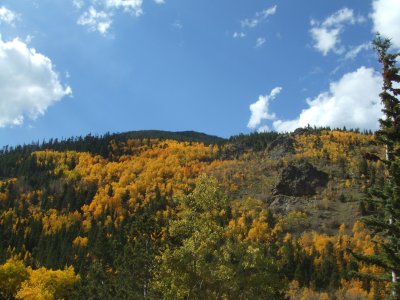 a0021482_1553916.jpg