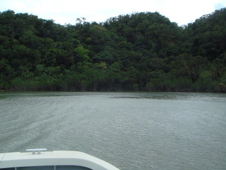 c0139388_432384.jpg