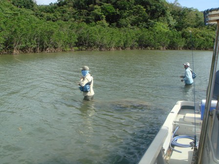 c0139388_4538100.jpg