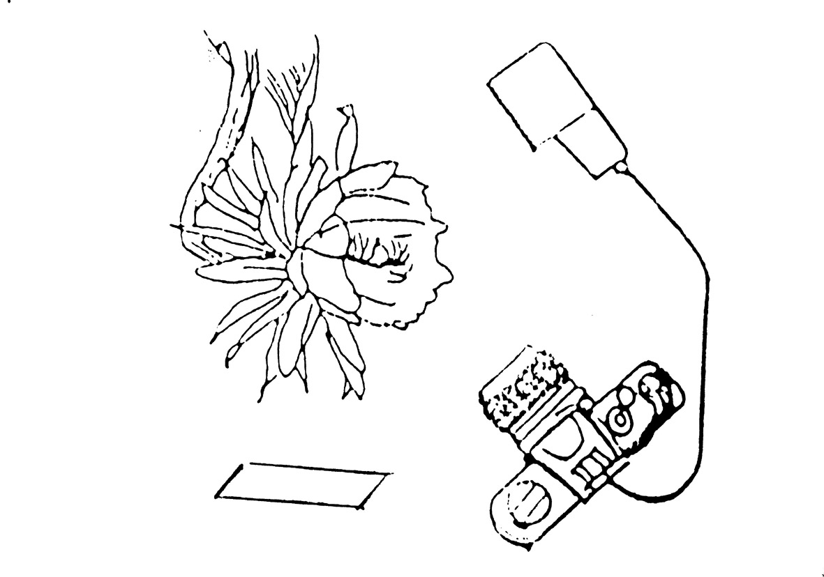 f0018492_21182446.jpg