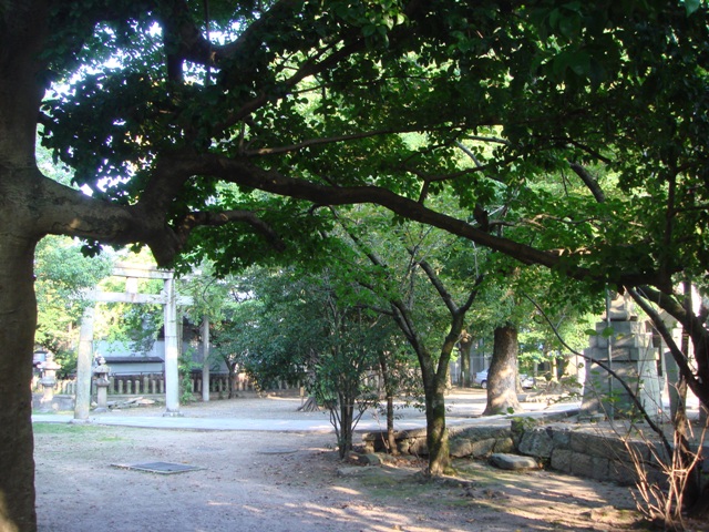 e0111793_1785916.jpg