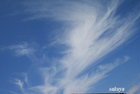 e0122194_143176.jpg