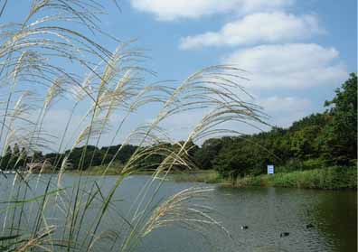 d0129295_155544100.jpg