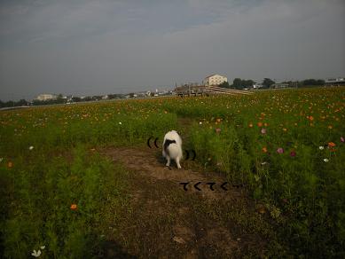 f0081100_857581.jpg