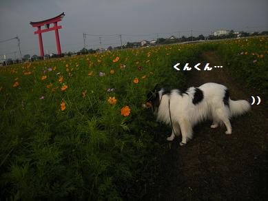 f0081100_8583933.jpg