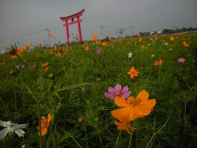 f0081100_859279.jpg
