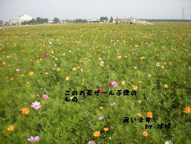 f0081100_9041100.jpg