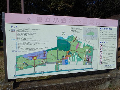 e0145805_23321476.jpg