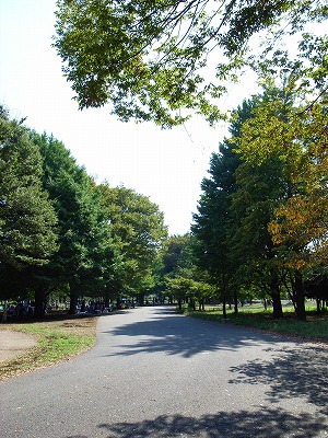 e0145805_23332140.jpg