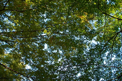 e0145805_23333674.jpg