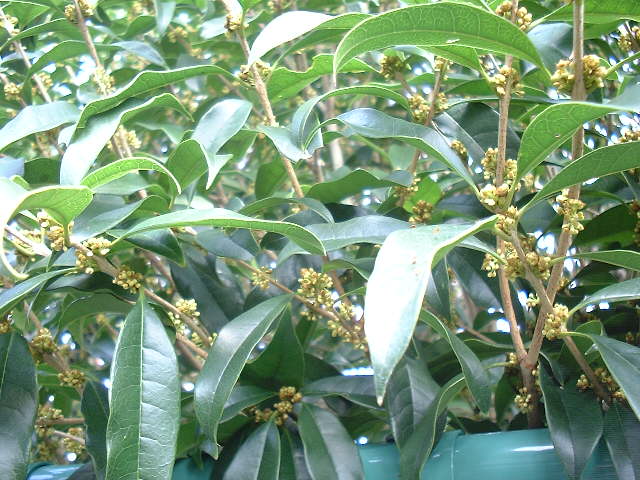 f0173908_20531268.jpg