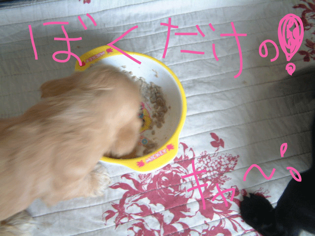 f0186310_19524755.gif