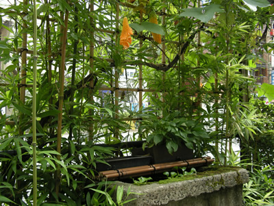 c0157412_22303845.jpg