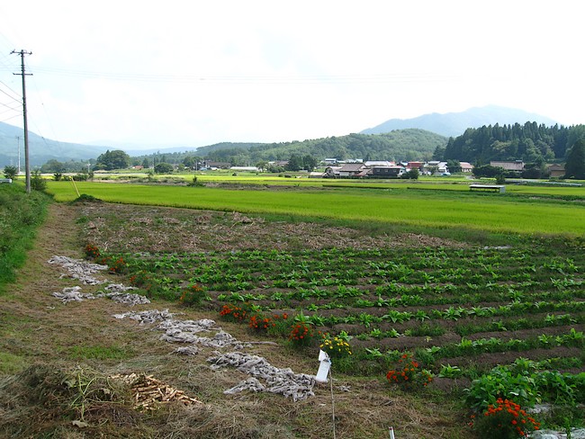 e0141012_1941850.jpg