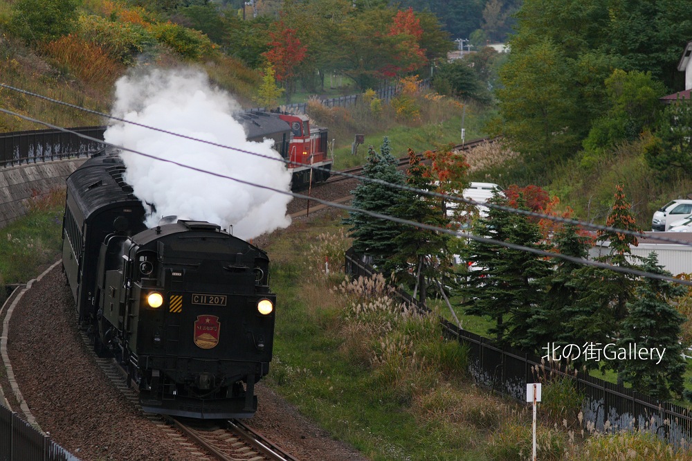 c0073613_032189.jpg