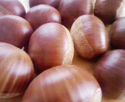 f0041113_10354755.jpg