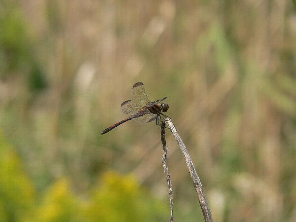 e0002314_19581814.jpg