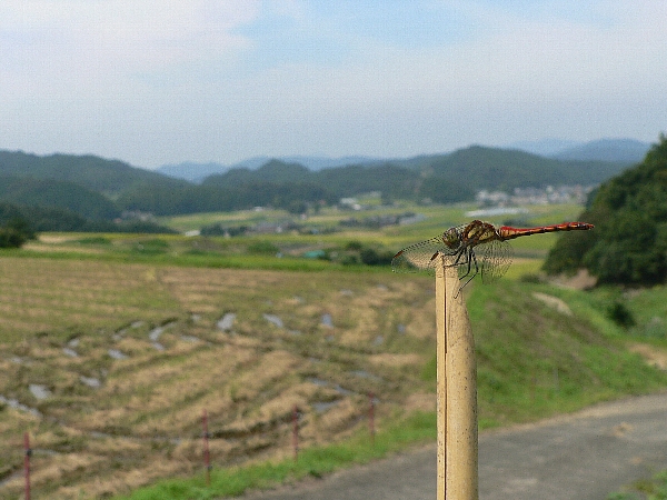e0002314_19583298.jpg