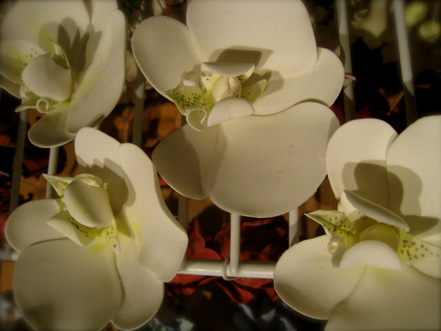 c0120817_1551636.jpg