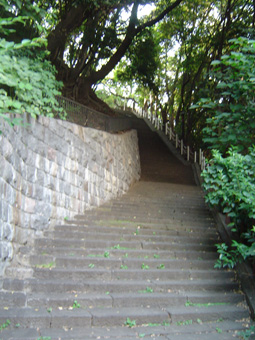 c0135618_21371585.jpg