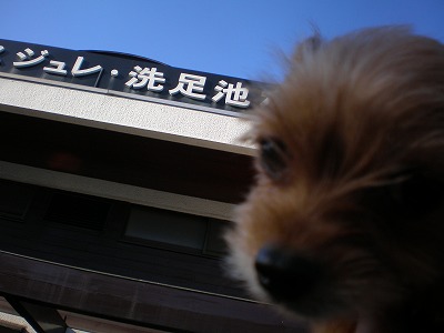 b0144519_2031161.jpg