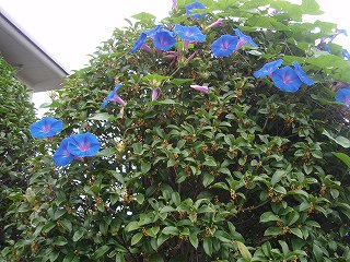 b0008825_16445985.jpg