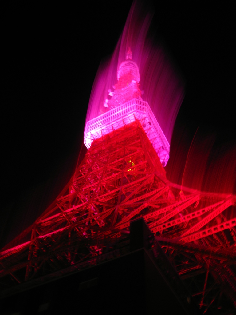 d0048328_534544.jpg