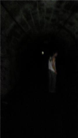 f0114528_2481298.jpg