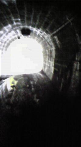 f0114528_2483011.jpg