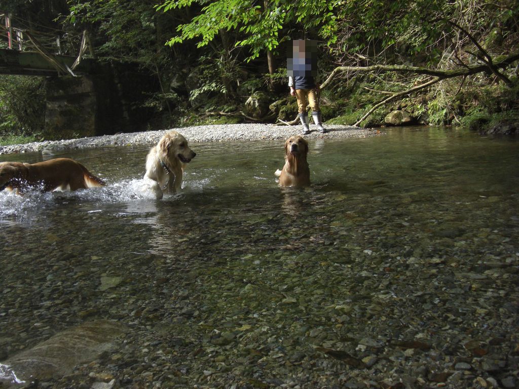 e0142430_1929421.jpg