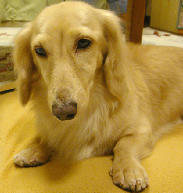 c0117831_2010114.jpg