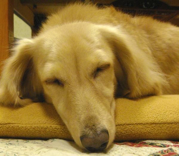 c0117831_20123449.jpg
