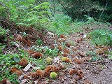 f0084232_22234584.jpg