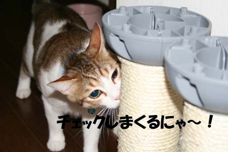 c0136933_2036213.jpg