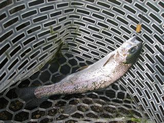 f0065341_0101796.jpg