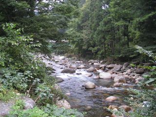 f0065341_011682.jpg