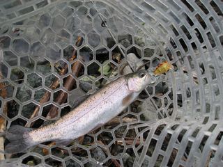 f0065341_085047.jpg