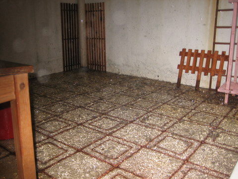 e0018143_19212961.jpg