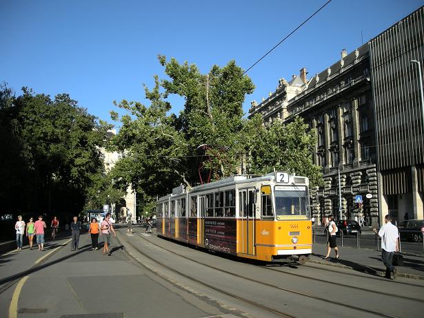 e0092446_510187.jpg