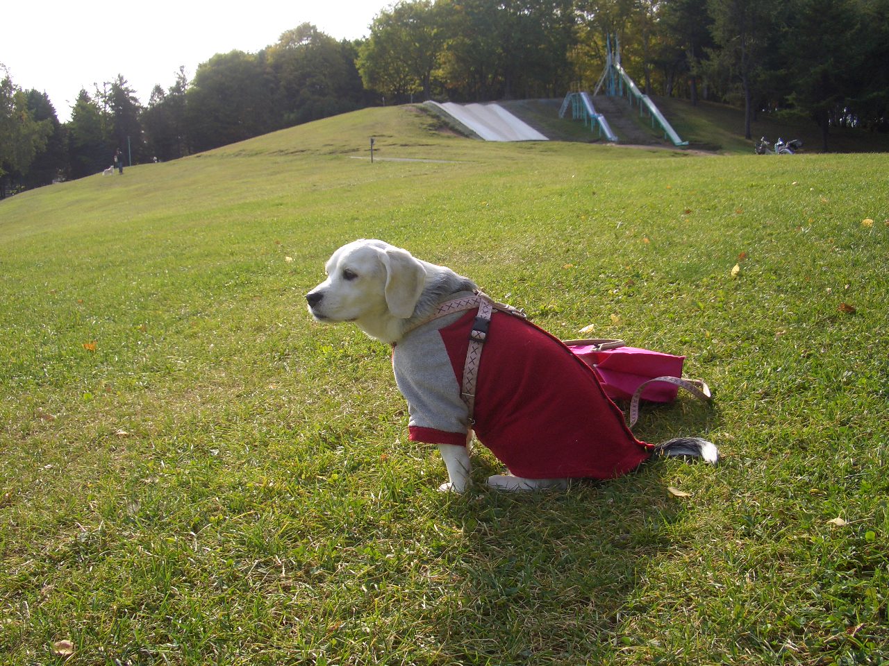 c0179048_10345690.jpg