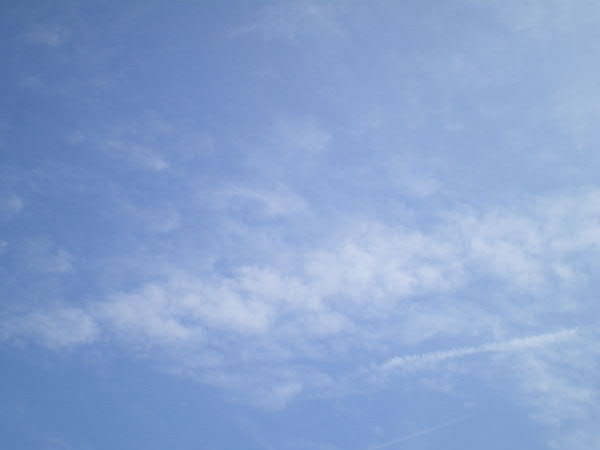 e0017051_8243073.jpg